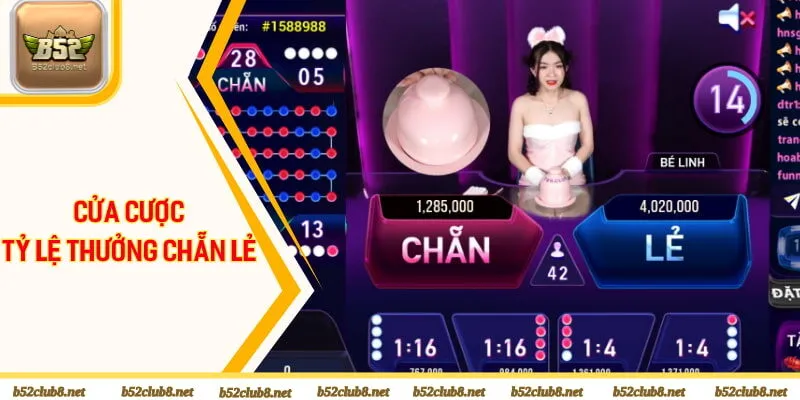 Cửa cược và tỷ lệ thưởng chẵn lẻ